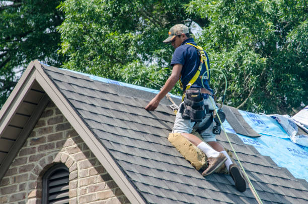 Best New Roof Installation  in Worthington, MN
